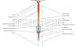 Vertebral column (Labeled atlas of veterinary anatomy: equine osteology on illustrations)
