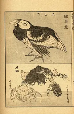 028172