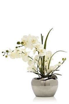 Buy Orchid In Silver...