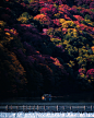 秋季 日本 风景 lightroom 摄影师 摄影 春季 夏季 旅行 冬季