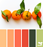 Design Seeds : Design Seeds color palettes ... posted daily for all who love color.