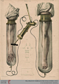 Bourgery, Jean Baptiste Marc; Jacob, Nicolas Henri [Hrsg.]: Traité complet de l'anatomie de l'homme: comprenant la médicine opératoire (Band 6, Atlas) (Paris, 1839)