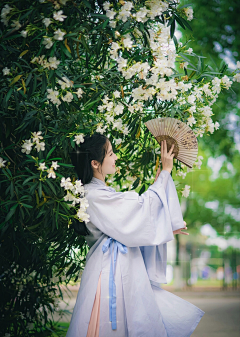薇筱曦采集到mn