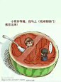 【图片】〖戏梗〗搅基向【宫斗吧】_百度贴吧