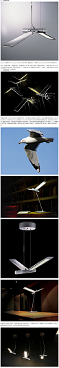 The Seagull Light 海鸥灯 -QisDesign海鸥灯(The Seagull Light)以LED的节能、省碳的设计，延续了QisDesign长久以来对大自然的关怀。

纯净、利落的双翼下，配置着低温、节能省电的LED灯源，相较于高温、耗能的传统灯泡，海鸥灯是QisDesign对大自然绿色生活的实践。独特的导光技术，令双翼上的LED光源散发出均匀柔光，灯亮时，海鸥灯如同在夕阳下遨游天际的海鸥，舞出光影的美。