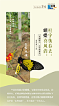 创意海报|在诗词中赏蝶：翩翩舞态 诗以咏蝶 : 中国红河蝴蝶谷即将迎来一场蝴蝶大爆发。