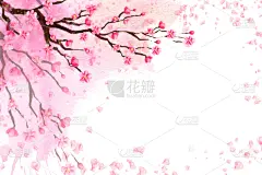 春天,花朵,背景,樱之花,美,贺卡,艺术,储蓄,水平画幅,樱花