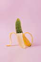 Edited Photo of Banana and Cactus