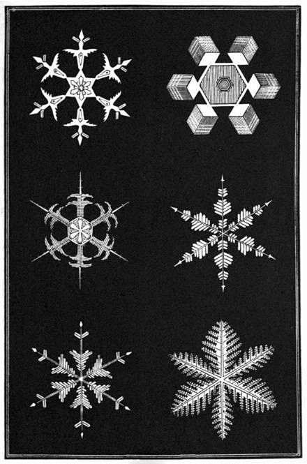 1863年艺术家Amer绘制的《Snow...