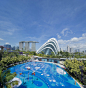 【儿童新加坡滨海公园儿童游乐场】Grant <wbr>Associates <wbr>designs <wbr>creative <wbr>playground