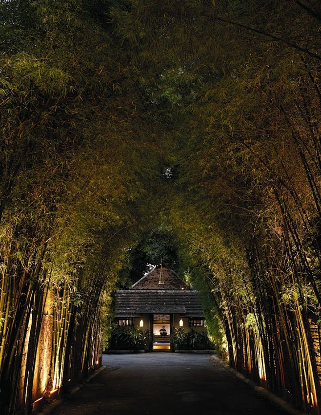 Beautiful Chiang Mai