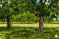 0R5A4929.jpg