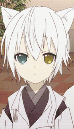 com采集深海与你——采集到动——动态头像 妖狐×仆ss 御狐神双炽