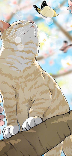 ++++++2*采集到sth cute