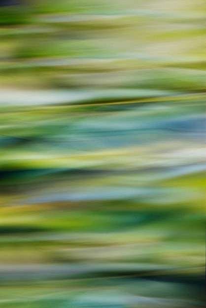 Abstract Art Licensi...