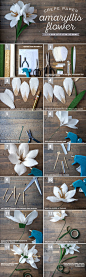 DIY Crepe Paper Amaryllis - Lia Griffith: 