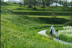 AryaS采集到A景观 护坡边坡草坡