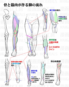 野比小雄_-D-采集到教程