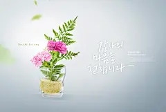 康乃馨盆栽 感恩节 母亲节 礼物贺卡 鲜花主题海报设计PSD tid204t000376