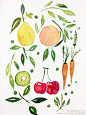 -插画家园-插画家园美食绘-插画家园水果蔬菜系列-插画家园