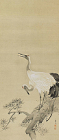 鶴