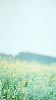 夏不下雨采集到所有夏日望与你狂欢