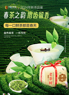 欧円采集到茶海报