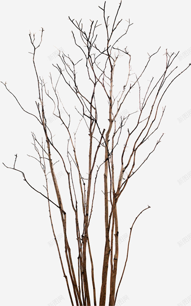 干树枝免扣合辑TreeDesignRes...