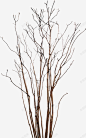 干树枝免扣合辑TreeDesignResource