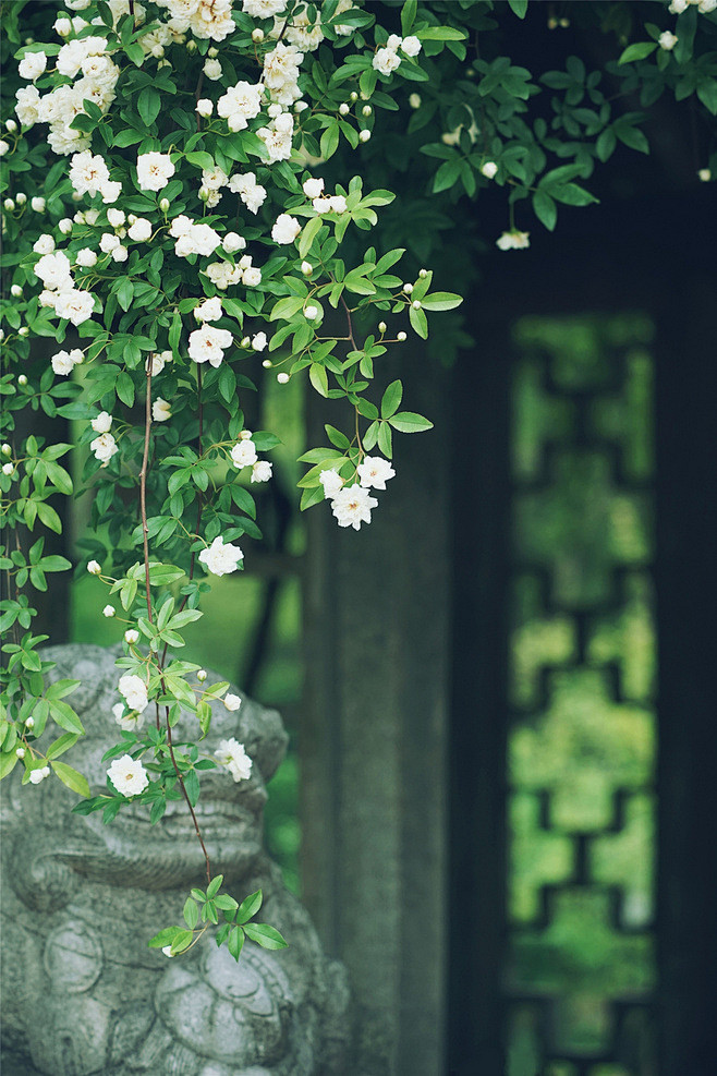 小阑点点花香去，寒意层层晓冷来。