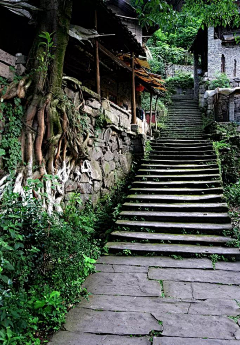饼干喵采集到有趣风景