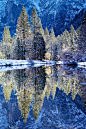 Neon Trees by  Robert Bolton, Yosemite National Park by the Merced River