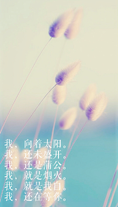 桃锦采集到桃锦封面成长史