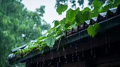 屋檐雨水绿叶清明摄影图