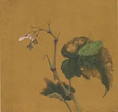五代十国｜黄筌｜长春花鸟册_9_澜叔艺术馆_来自小红书网页版