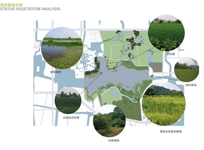 公园绿化系统分析图图片