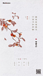知识星球：地产资源库