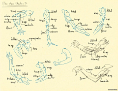 Ni懂否采集到百家人体结构画法 之 手臂