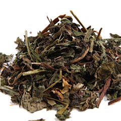 dudu1129采集到草本植物