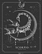 现代魔法魔法卡带有天蝎座的星座。逼真的手绘蝎子插图