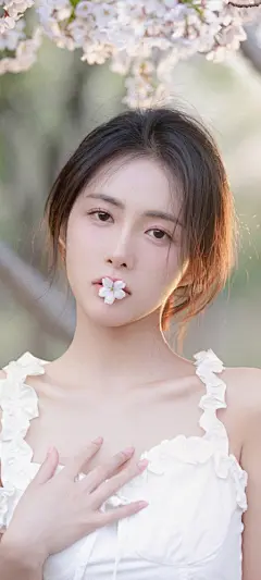 美女 樱花 林晚儿手机壁纸