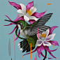 Bird Paintings by Frank Gonzalez | Inspiration Grid | Design Inspiration”>
  <meta property= : Inspiration Grid is a daily-updated gallery celebrating creative talent from around the world. Get your daily fix of design, art, illustration, typography