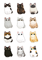 Bodle Cat Type: Naver Blog