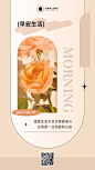 简约风早安问候花朵每日一签