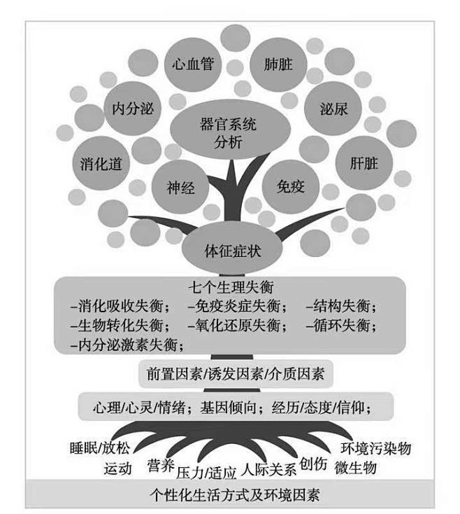 功能医学树型结构