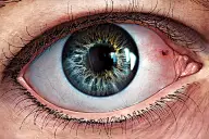 素描_手绘_插画_C4D