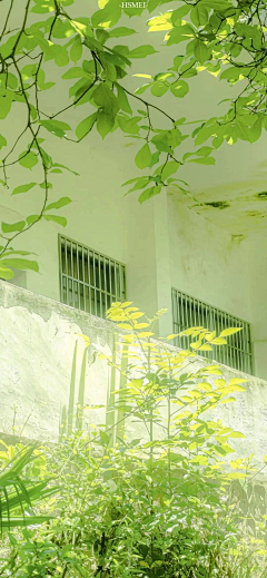 MAZIO采集到摄影(1)