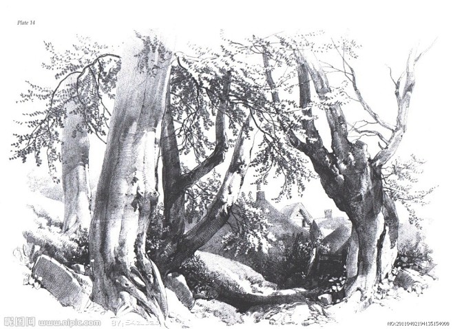 风景素描