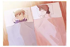 名侦探柯南  新兰  工藤新一  毛利兰  twi@czech_gana