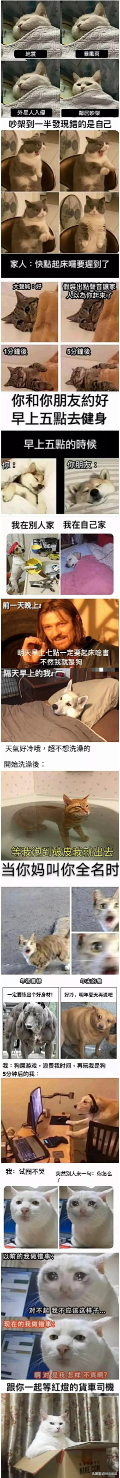 才才儿采集到表情包